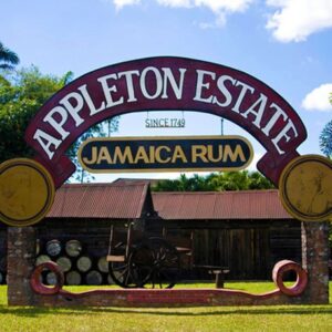 Pelican Bar & Appleton Rum Tour Combo Tour Package