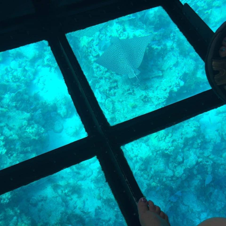 Glass Bottom Boat and Snorkeling in Montego Bay - Image 2