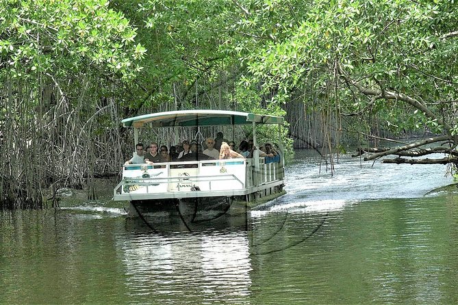 Pelican Bar, YS Falls, Appleton Plantation Rum Experience & Black River Safari - Image 2