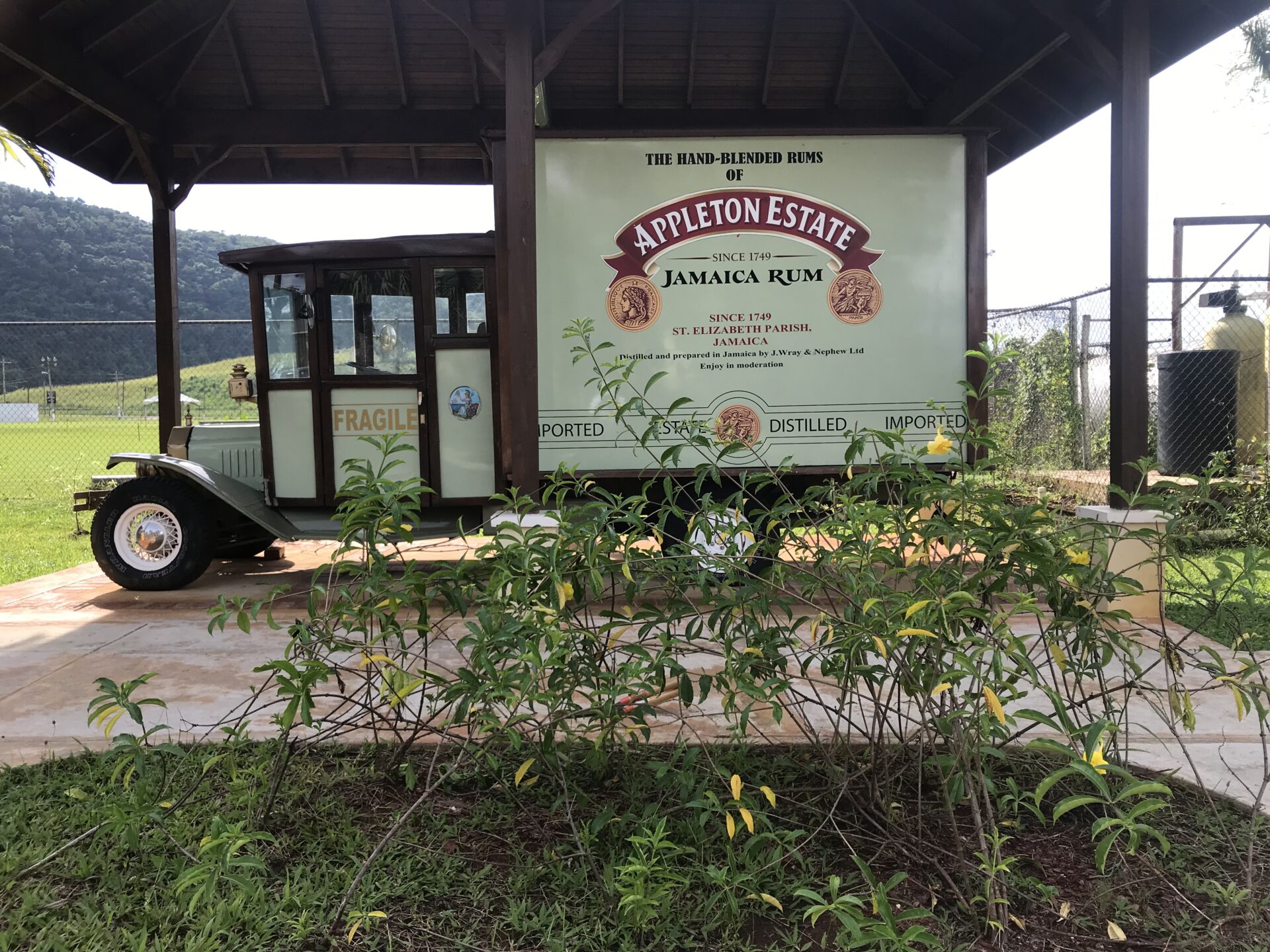 Black River Safari & Appleton Rum Factory Combo Tour Package - Image 2