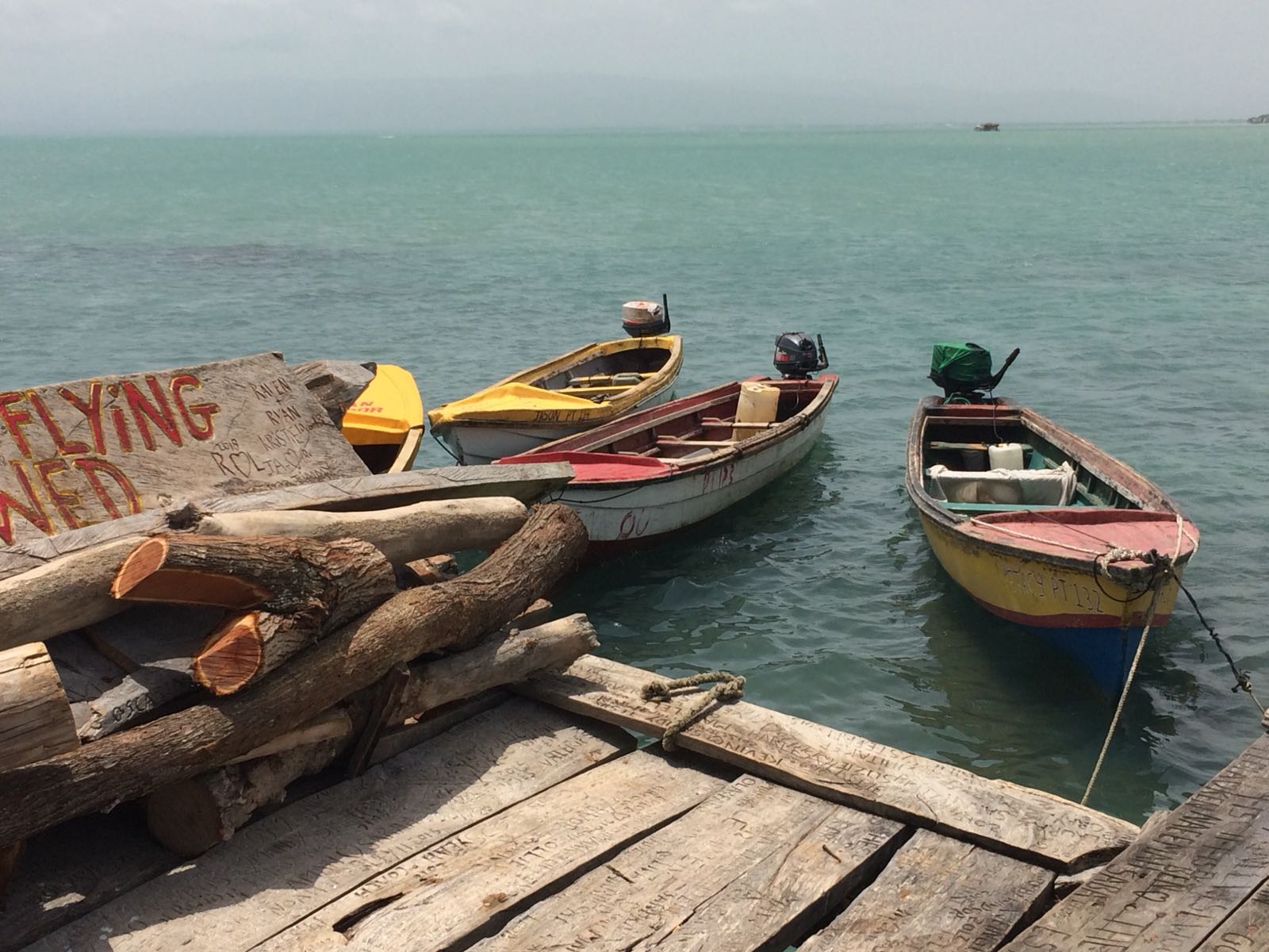 Black River Safari & Pelican Bar Combo Tour Package - Image 5