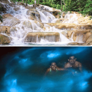 Dunns River Falls And Luminous Lagoon