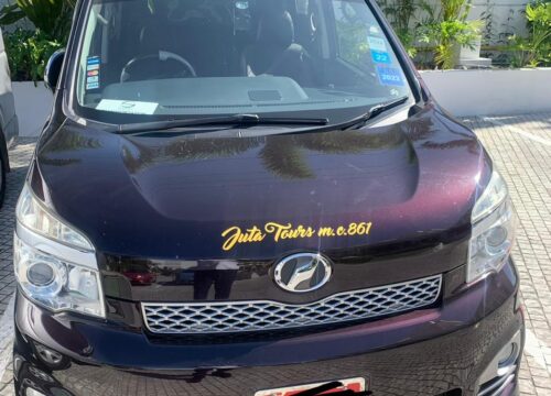 Montego Bay Shore Excursions