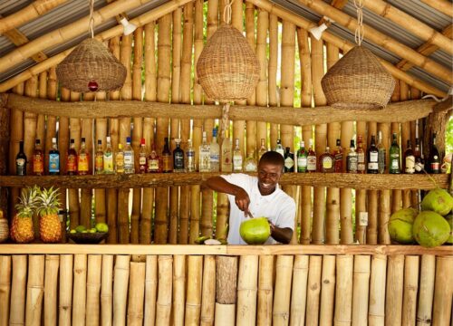 Montego Bay Day Trips